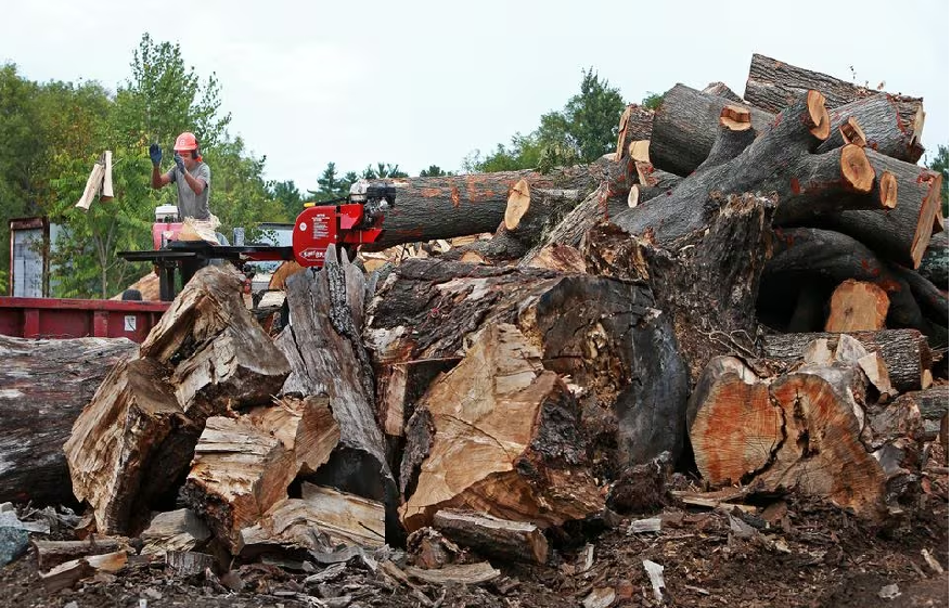 Wholesale Supplier of Locally Sourced Commercial Firewood